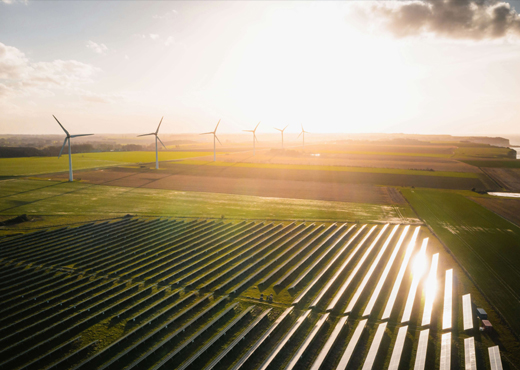 Wind farm renewable energy generation and utility automation