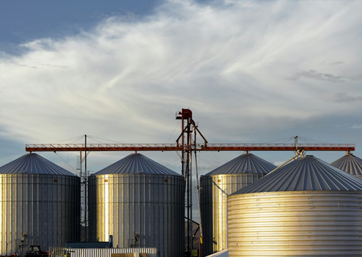 Agricultural automation systems for grain handling and silo operations