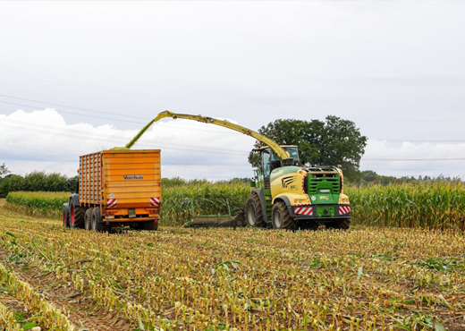 Agricultural automation and crop processing control systems